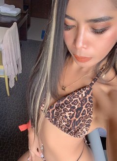 AMNDA BANGKOK 🇹🇭 - puta in Bangkok Photo 14 of 15