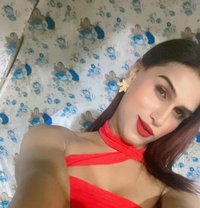 Adaa_Sexy - Acompañantes transexual in Noida