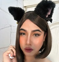 Adele - Transsexual escort in Doha
