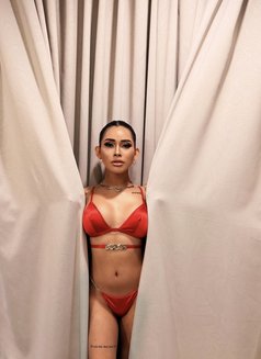 Adelia Andrew - Acompañantes transexual in Kuala Lumpur Photo 5 of 11