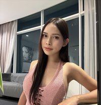 Adelia Andrew - Transsexual escort in Johor Bahru Photo 1 of 7
