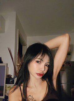 Adisa Little Hottie - escort in Bangkok Photo 17 of 25