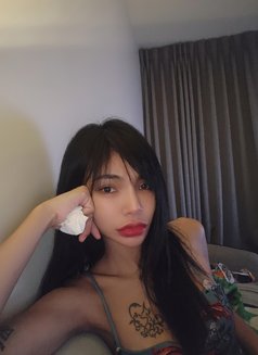 Adisa Little Hottie - escort in Bangkok Photo 19 of 25