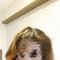 Aditi★independent Girl Hare Real & Cam - escort in Navi Mumbai Photo 2 of 4