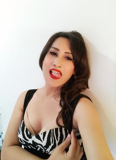 Ts Adriana Kiehlz - Transsexual escort in Bali Photo 7 of 9