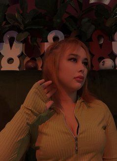 Aerocity New Delhi Escorts - escort in New Delhi Photo 4 of 5