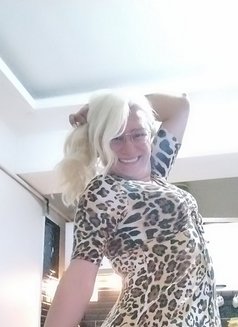 Afra Ts Massage - Acompañantes transexual in İstanbul Photo 7 of 8