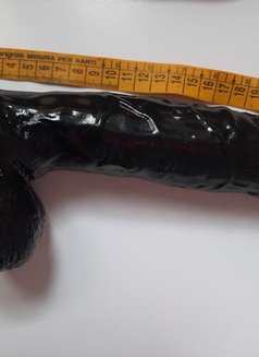 African bull - Intérprete masculino de adultos in Pune Photo 2 of 2