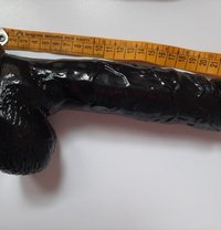 African bull - Male adult performer in Pune