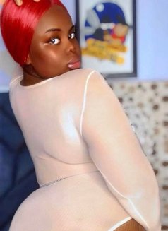 African Cindy +91//743911//0497 - escort in New Delhi Photo 3 of 9