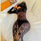 AFRICAN ESCORT GIRL ( 70852//36438 ) - puta in Gurgaon Photo 3 of 5
