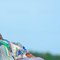 African Escort Girl - escort in Dehradun, Uttarakhand Photo 3 of 5