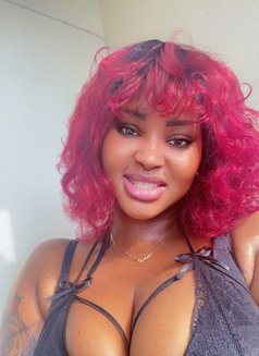 African Golden +91//997129//8072 - escort in Noida Photo 11 of 11