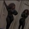African Heavens +91//936608//3831 - escort in Noida Photo 4 of 7