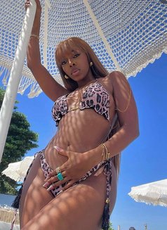 African Joy +977//974391//6696 - escort in Kathmandu Photo 1 of 2