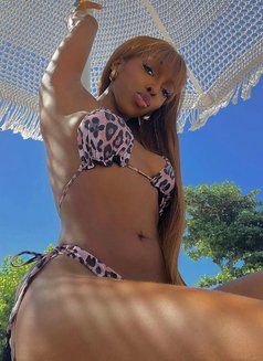 African Joy +977//974391//6696 - escort in Kathmandu Photo 2 of 2