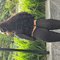 African Lovely +91//888402//8639‬ - escort in Bangalore Photo 1 of 3