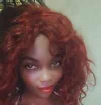African Lucy +91//917584//2480 - escort in New Delhi