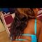 African Queen +91//966316//2948 - puta in Noida Photo 2 of 30
