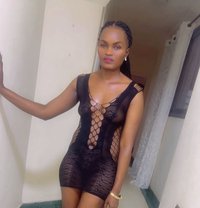 African Tiiti +20//104165//1347 - escort in Cairo