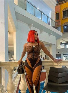 African Sugar +91//841482//0339 - puta in Dehradun, Uttarakhand Photo 6 of 6