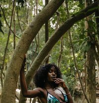 Africanbarbie - escort in  Koh Phangan