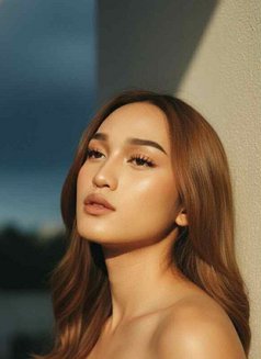 Agatha lima Davies - Transsexual escort in Manila Photo 1 of 4