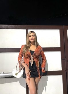 AgentAlleb69 - Acompañantes transexual in Manila Photo 2 of 7