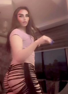 Ahlam احلام - Transsexual escort in Amman Photo 9 of 10