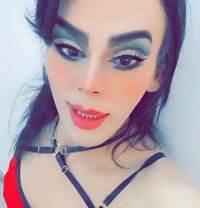 Ahmed Sassou - Transsexual escort in Tunis