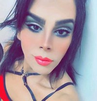 Ahmed Sassou - Transsexual escort in Tunis