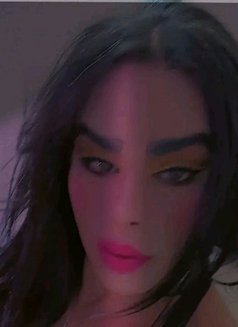 Ahmed Sassou - Transsexual escort in Tunis Photo 5 of 8