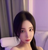 Aiby Jin - Transsexual escort in Hong Kong
