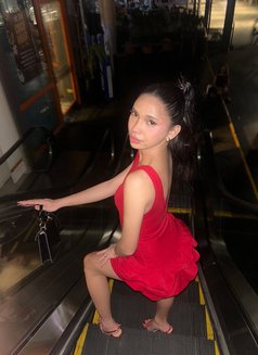 Aicey Manila - Transsexual adult performer in Manila Photo 1 of 1