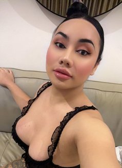 Aida Big Dick 🇹🇭 - Acompañantes transexual in Jeddah Photo 11 of 13