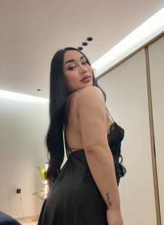 Aida Ladyboy Bigcock🇹🇭 - Transsexual escort in Jeddah Photo 7 of 7