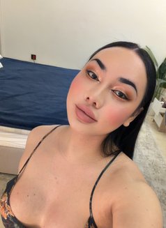 Aida Ladyboy Bigcock🇹🇭 - Transsexual escort in Jeddah Photo 9 of 11