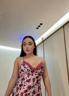 Aida Ladyboy Bigcock🇹🇭 - Transsexual escort in Jeddah Photo 10 of 11