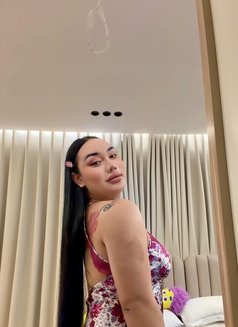 Aida Ladyboy Bigcock🇹🇭 - Transsexual escort in Jeddah Photo 11 of 11