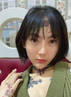 Aida - Transsexual escort agency in Dubai Photo 1 of 8