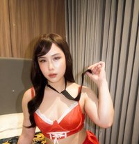Aida🇹🇭Vip - Transsexual escort in Khobar