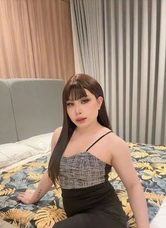 Aida🇹🇭Vip - Transsexual escort in Khobar Photo 4 of 8