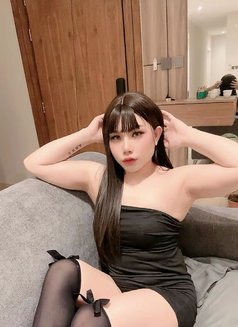 Aida🇹🇭Vip - Transsexual escort in Khobar Photo 5 of 8