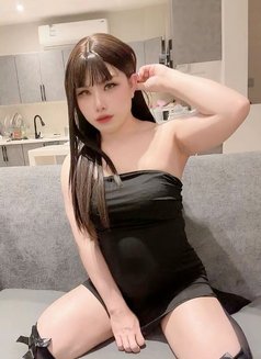 Aida🇹🇭Vip - Transsexual escort in Khobar Photo 6 of 8