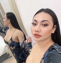 Aida Big Dick - Acompañantes transexual in Phuket