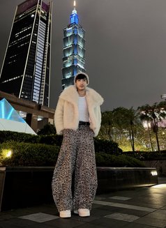 Aikinaru mashte - Male escort in Manila Photo 10 of 20