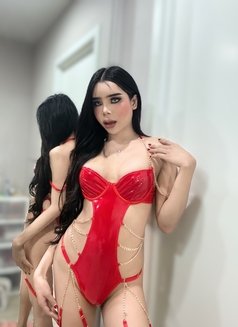 🦋AiKo Ladyboy Big Dick 69 Sexy 🇹🇭 - Transsexual escort in Bangkok Photo 9 of 10