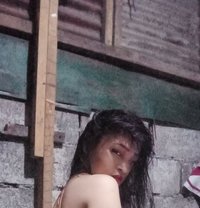 Aila (camsex) - puta in Manila