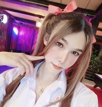 Aileen - Transsexual escort in Ko Samui