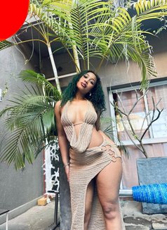 Aina - escort in Muscat Photo 1 of 5